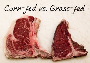 corn-fed-vs-grass-fed-beef-steak