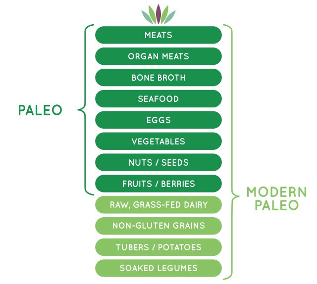 What is the Paleo diet