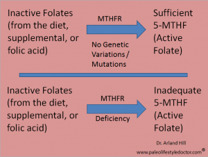 MTHFR Deficiency
