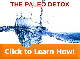 Paleo Detox from Paleo Lifestyle Doctor